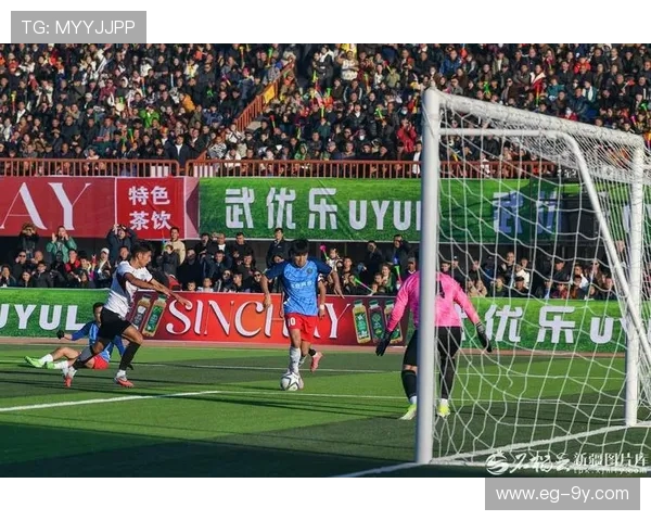 白岩松亲临秦皇岛足球赛现场 激情互动引爆球迷热情